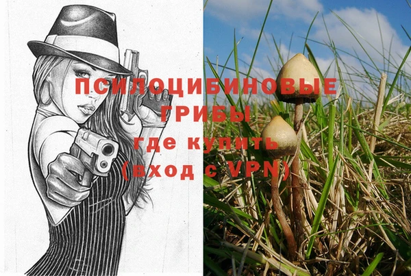 дмт Баксан
