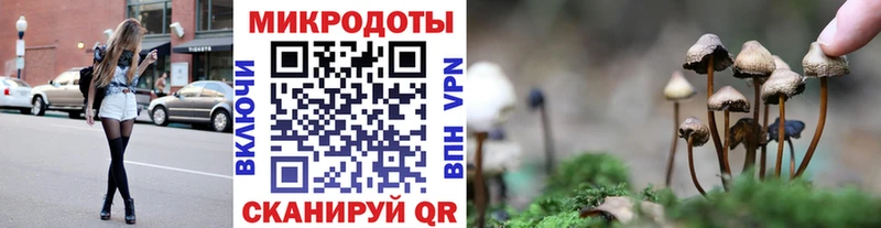 Псилоцибиновые грибы Cubensis  MEGA вход  Бородино 
